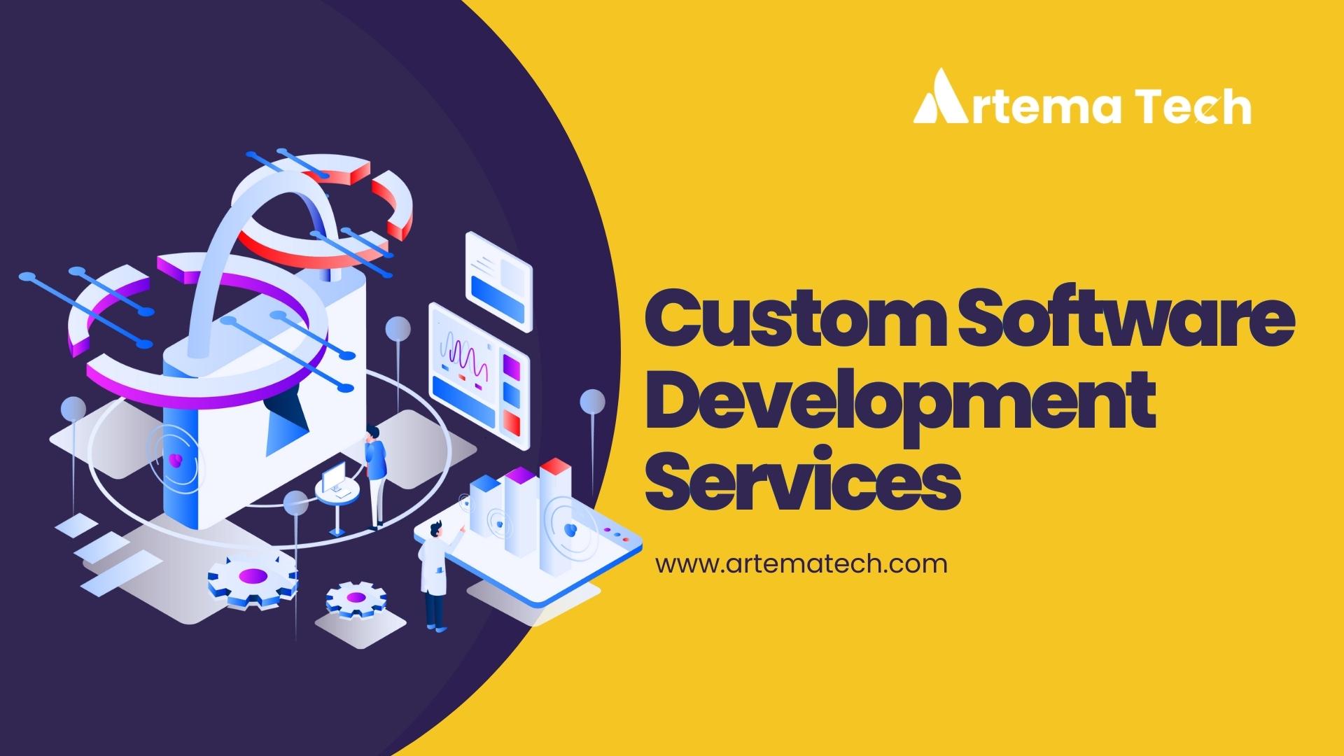 custom software development services