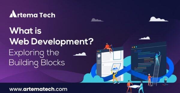 what is web development